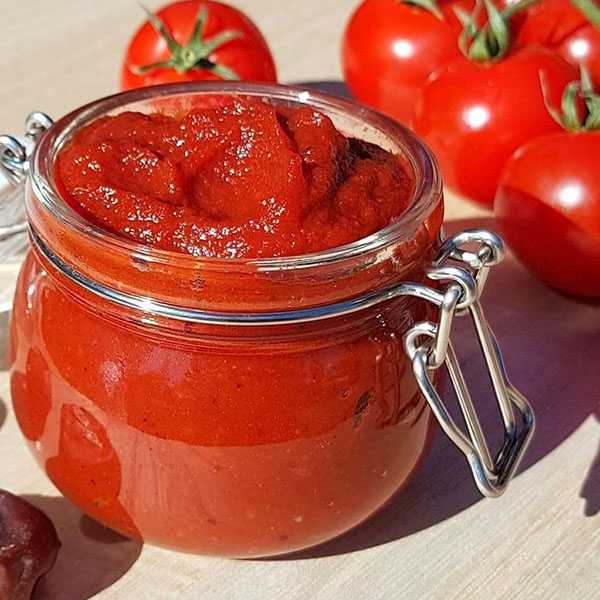تصویر 2 از خرید رب گوجه تبرک 400 گرمی + قیمت فروش استثنایی