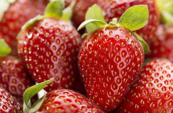 تصویر 2 از قیمت خرید توت فرنگی سابرینا + فروش ویژه