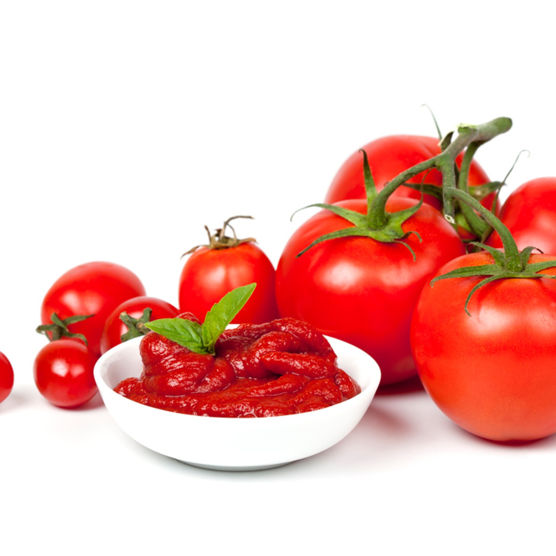 تصویر 4 از فروش رب گوجه یکبار مصرف + قیمت خرید به‌صرفه