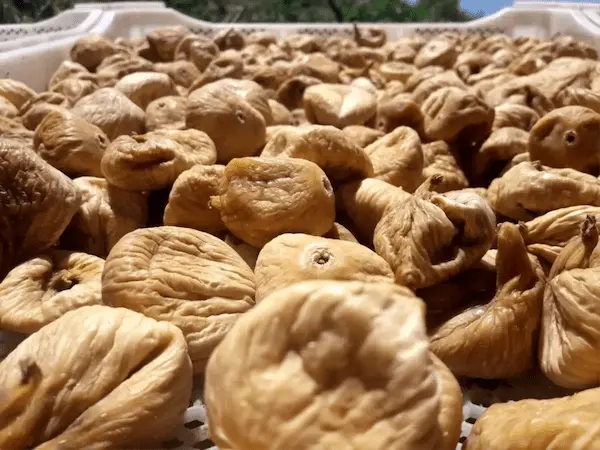 تصویر 1 از خرید و فروش انجیر خشک خندان با شرایط فوق‌العاده