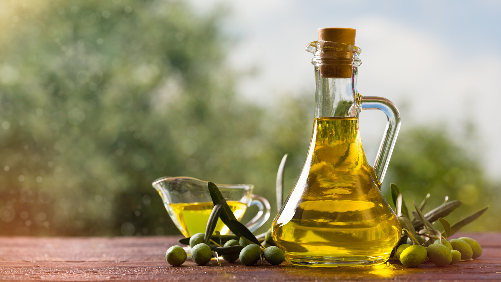 تصویر 1 از قیمت روغن زیتون با کیفیت بالا + خرید باور نکردنی