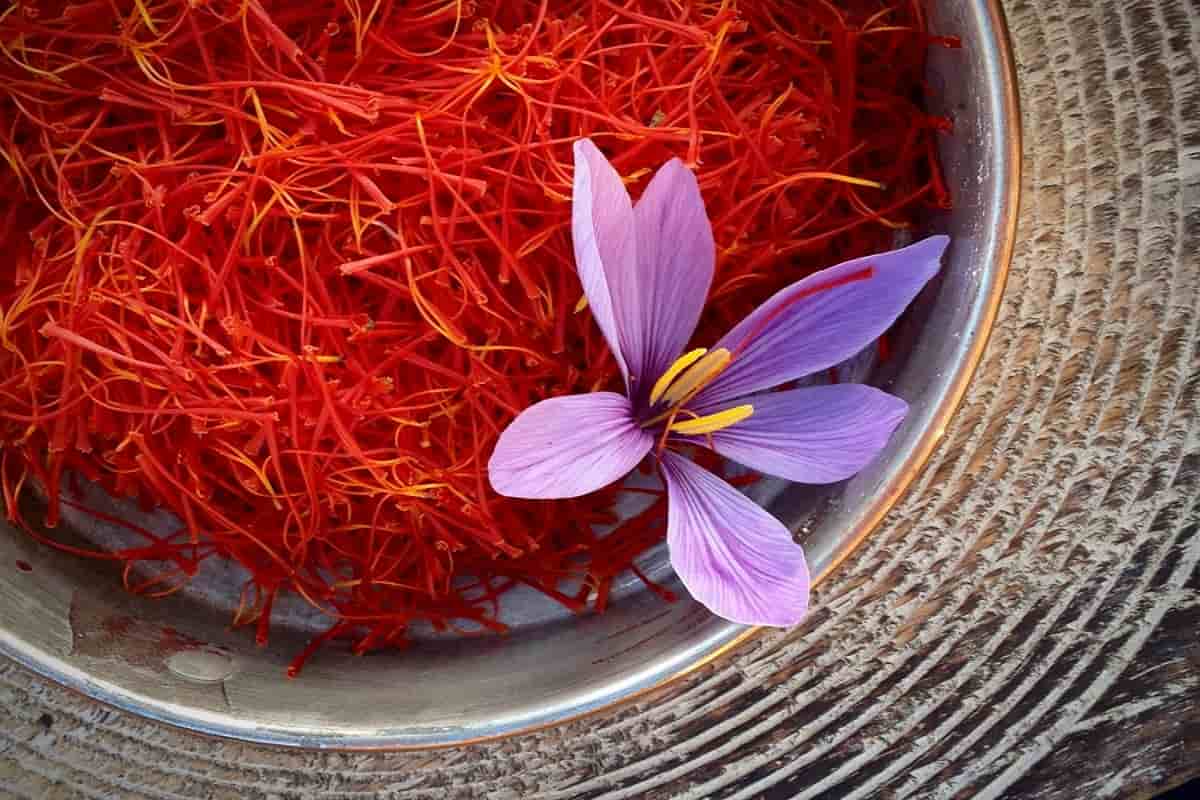 زعفران نیم مثقالی با کلاله کامل و کیفیت بالا مناسب هدیه