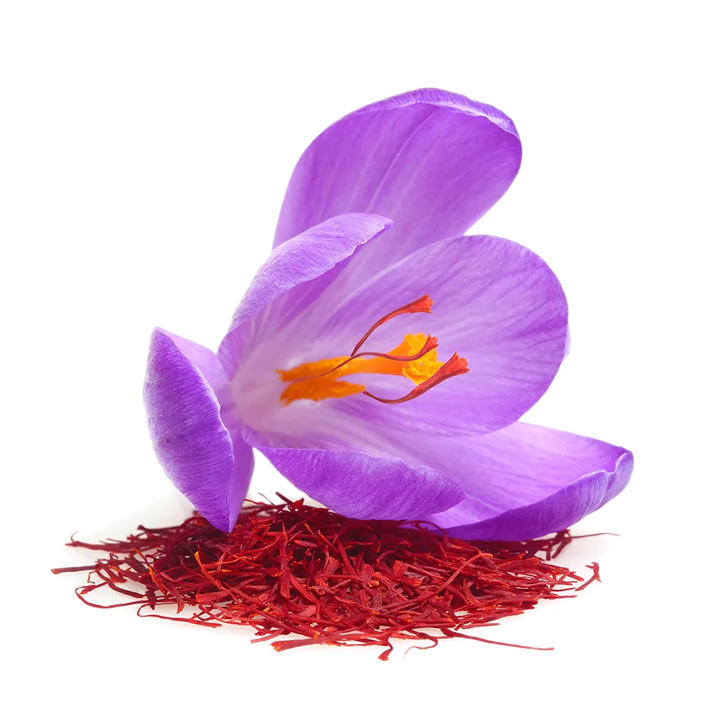 تصویر 1 از قیمت زعفران کوهی لرستان با کیفیت ارزان + خرید عمده