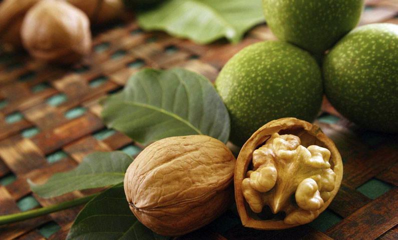تصویر 1 از خرید و فروش مغز گردو دوپر سفید با شرایط فوق العاده