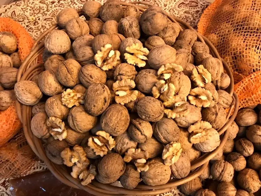 تصویر 2 از خرید و فروش مغز گردو دوپر سفید با شرایط فوق العاده
