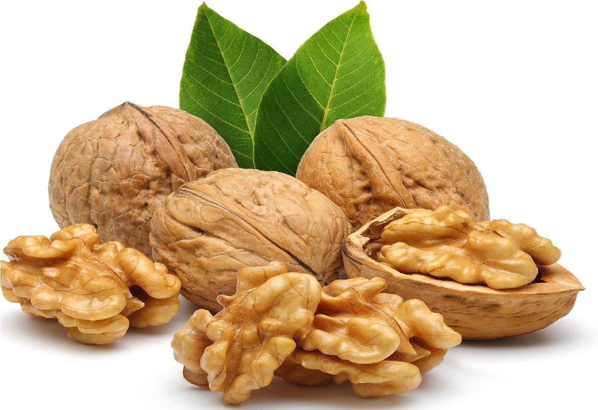 تصویر 2 از قیمت خرید مغز گردوی چندلر با فروش عمده