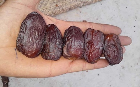 تصویر 3 از فروش خرما پیارم دمباز + قیمت خرید به صرفه