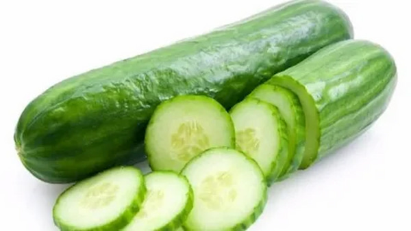 تصویر 4 از خرید خیار درختی  اصفهان + قیمت فروش استثنایی