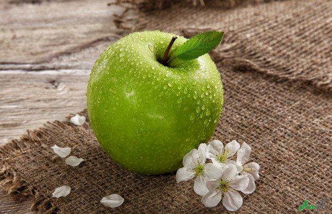 تصویر 5 از خرید و فروش سیب سبز شیراز با شرایط فوق العاده