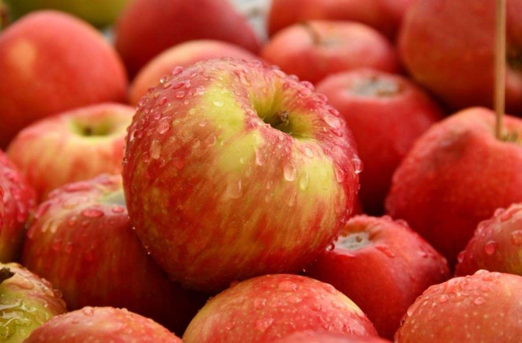 تصویر 3 از قیمت خرید سیب قرمز لبنانی + فروش ویژه