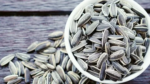 تصویر 5 از قیمت خرید تخمه با طعم پنیری + فروش استثنایی