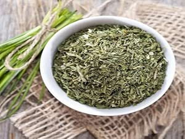 تصویر 1 از قیمت خرید سبزی خشک پیازچه + فروش استثنایی