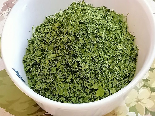 تصویر 2 از قیمت برگ گشنیز خشک با فروش عمده