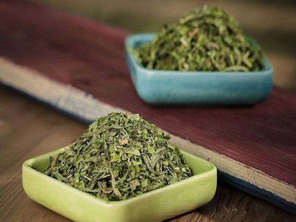 تصویر 1 از قیمت سبزی تره شمالی با کیفیت ارزان + خرید عمده