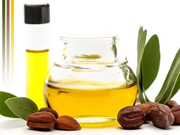 تصویر 5 از قیمت خرید روغن های گیاهی بادام شیرین و فندق و تخمه کدو و کتان نیوشا با فروش عمده
