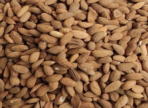 تصویر 4 از خرید بادام درختی سرتاسی + قیمت فروش استثنایی