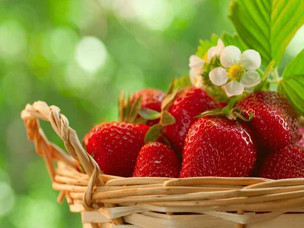 تصویر 3 از خرید توت فرنگی اعلا + قیمت فروش استثنایی