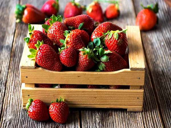تصویر 1 از فروش توت فرنگی خوشمزه + قیمت خرید به صرفه