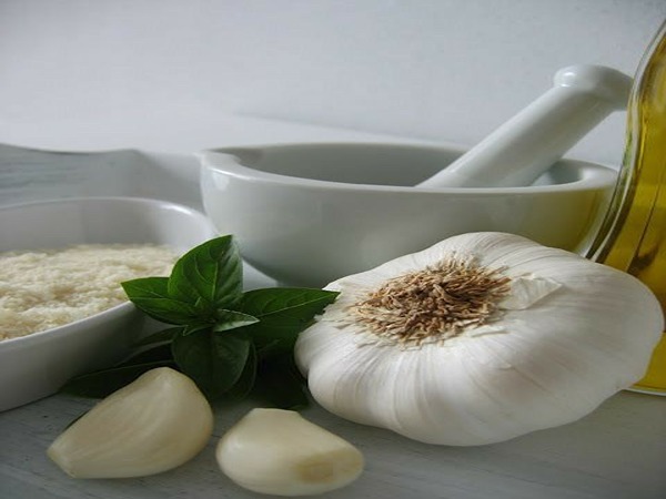 تصویر 2 از خرید پودر سیر شرکتی + قیمت فروش استثنایی