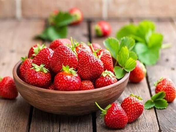تصویر 4 از قیمت خرید توت فرنگی خارجی با فروش عمده