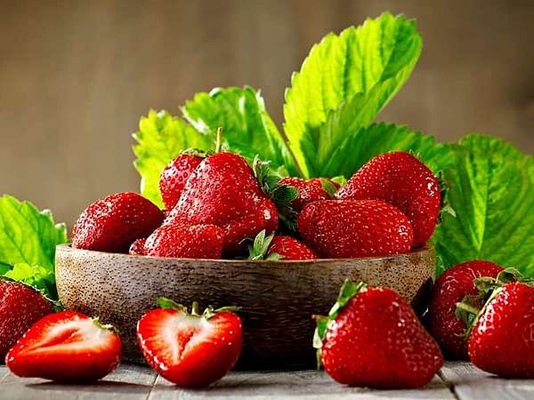 تصویر 3 از قیمت توت فرنگی وحشی با کیفیت ارزان + خرید عمده
