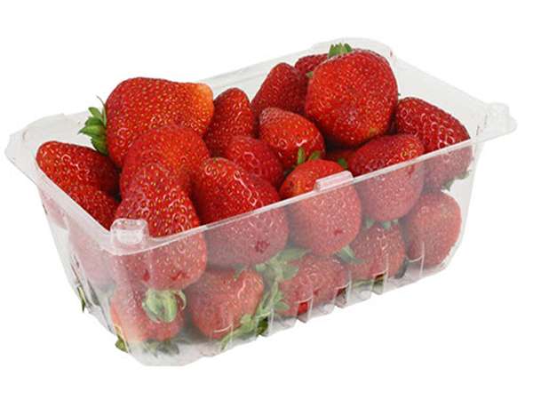 تصویر 3 از قیمت خرید توت فرنگی صادراتی + فروش ویژه