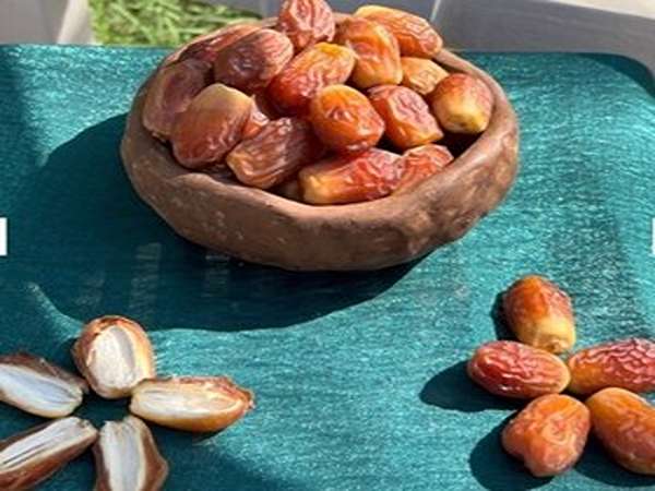 تصویر 4 از قیمت خرما زاهدی تازه با کیفیت ارزان + خرید عمده