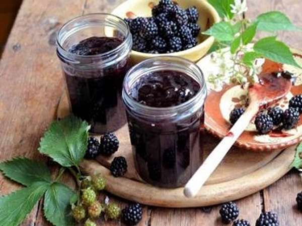 تصویر 4 از فروش شیره توت درختی + قیمت خرید به صرفه