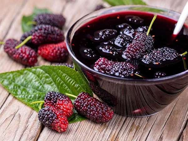 تصویر 5 از فروش شیره توت درختی + قیمت خرید به صرفه