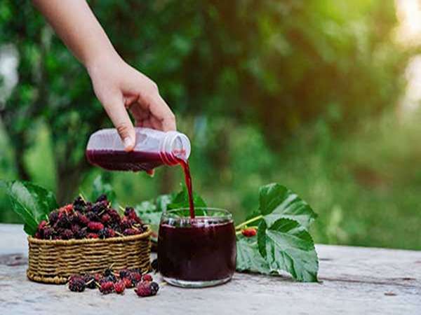 تصویر 1 از قیمت خرید شیره توت سیاه + فروش ویژه