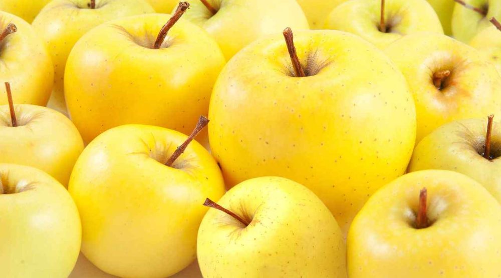 تصویر 2 از قیمت سیب زرد + خرید باور نکردنی