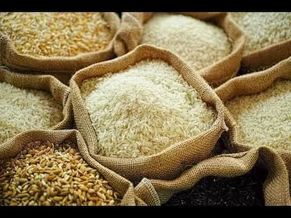 تصویر 3 از قیمت خرید برنج عنبربو عطری + فروش عمده