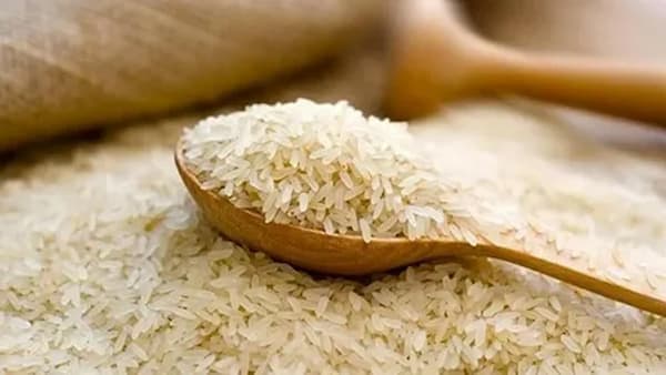 تصویر 1 از خرید و قیمت برنج عنبربو میان آب + فروش عمده