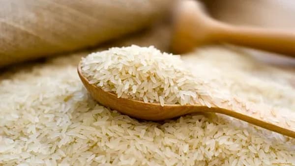 تصویر 3 از قیمت خرید برنج کامفیروزی درجه یک با فروش عمده