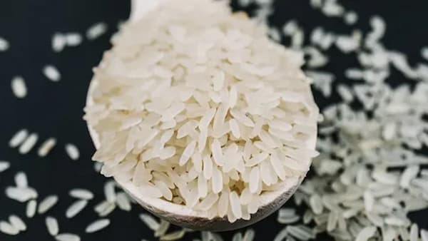 تصویر 1 از قیمت برنج بکیان کامفیروز + خرید باور نکردنی