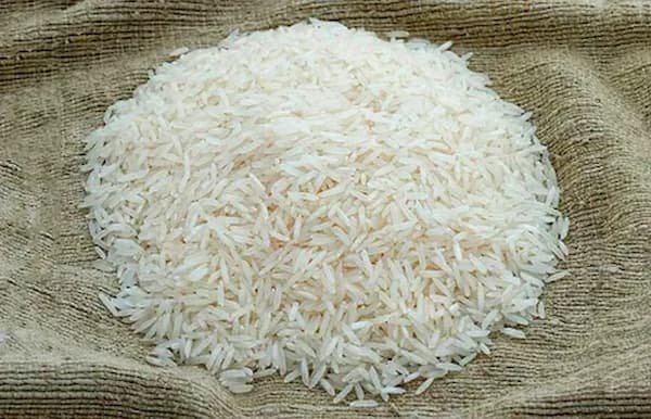 تصویر 3 از خرید برنج عنبربو باقری + قیمت فروش استثنایی