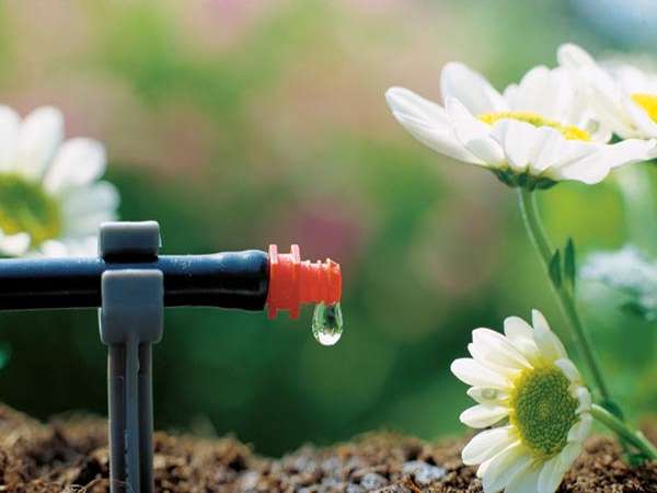 تصویر 3 از قیمت خرید اتصالات آبیاری قطره ای + فروش ویژه