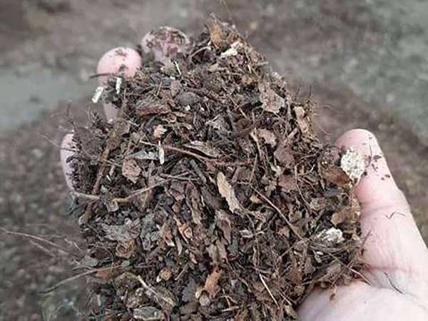 تصویر 5 از فروش خاک برگ فله ای + قیمت مناسب