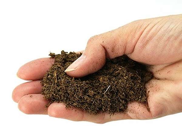 تصویر 3 از قیمت خرید خاک برگ کیسه ای با فروش ویژه