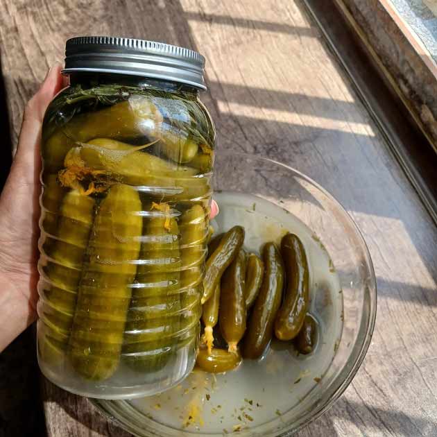 تصویر 5 از قیمت خرید خیارشور ممتاز اصالت با فروش عمده