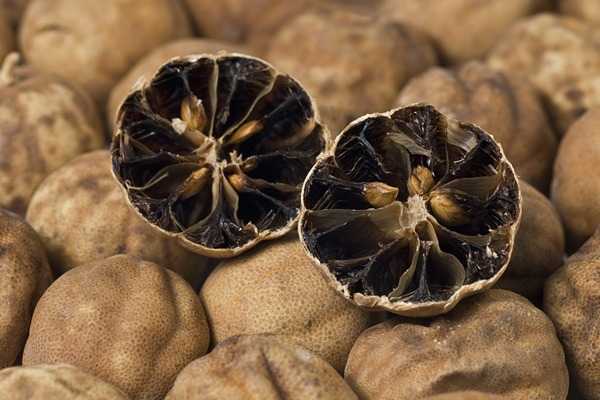 تصویر 4 از خرید لیمو ترش خشک + قیمت فروش استثنایی