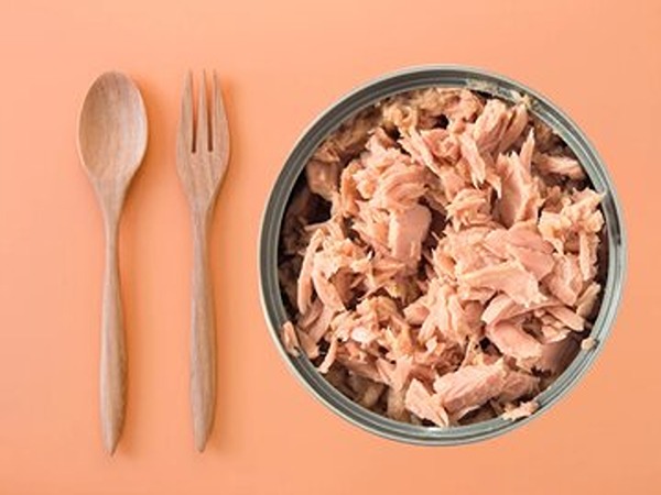 تصویر 2 از قیمت تن ماهی ۱۲۰ گرمی عمده با فروش عمده