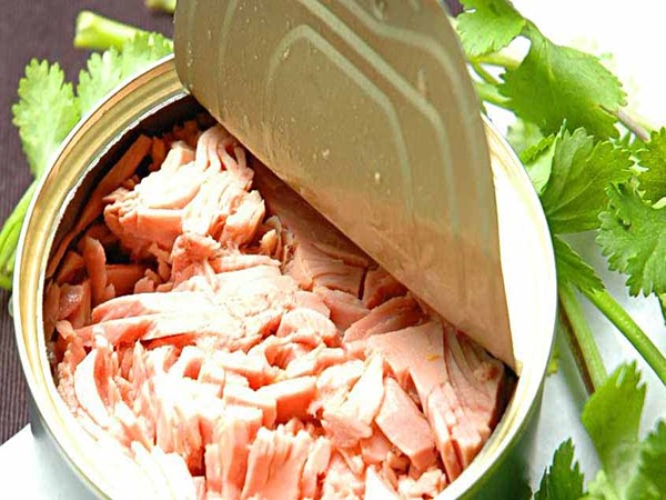 تصویر 3 از فروش تن ماهی کوچک + قیمت خرید به صرفه