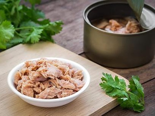 تصویر 1 از قیمت کنسرو تن ماهی با لوبیا با کیفیت ارزان + خرید عمده
