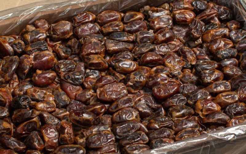 تصویر 2 از فروش خرما مضافتی تازه + قیمت خرید به صرفه