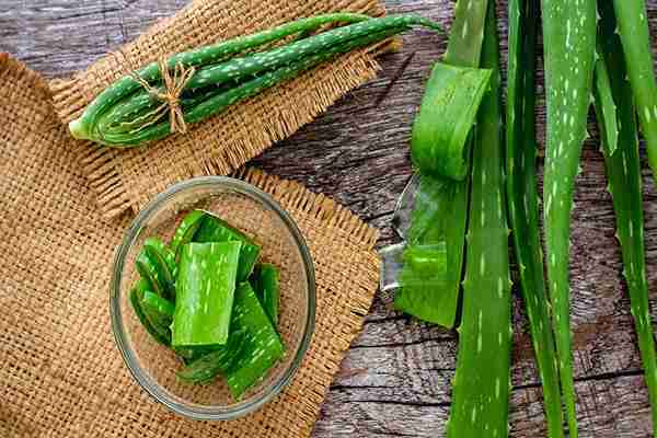 تصویر 2 از خرید ژل آلوئه ورا خانگی + قیمت فروش ویژه