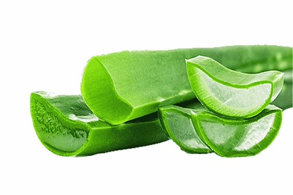 تصویر 4 از قیمت ژل آلوئه ورا طبیعی + خرید باور نکردنی