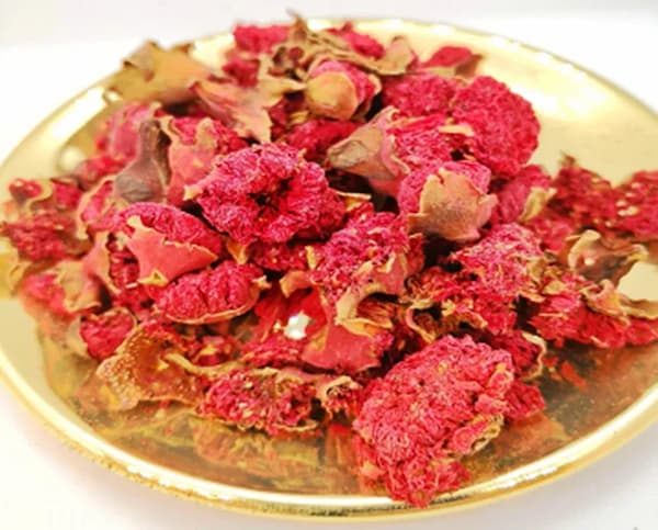 تصویر 4 از خرید و فروش گلنار فارسی گیاهینه با شرایط فوق العاده