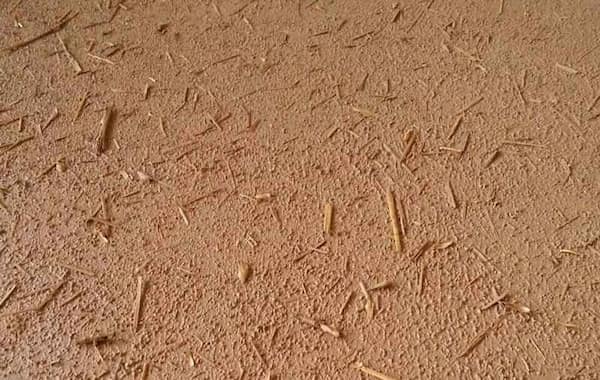 تصویر 3 از فروش ویژه کاهگل مناطق گرمسیری