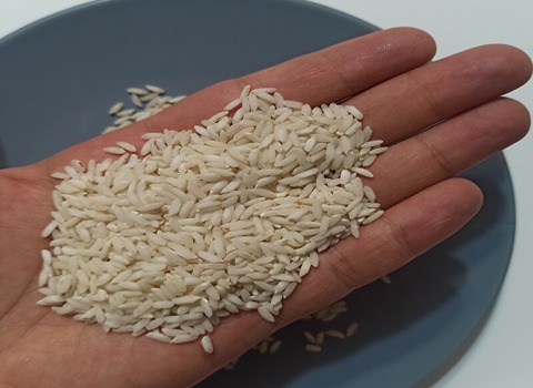 تصویر 5 از خرید برنج هاشمی گیلان + قیمت فروش استثنایی